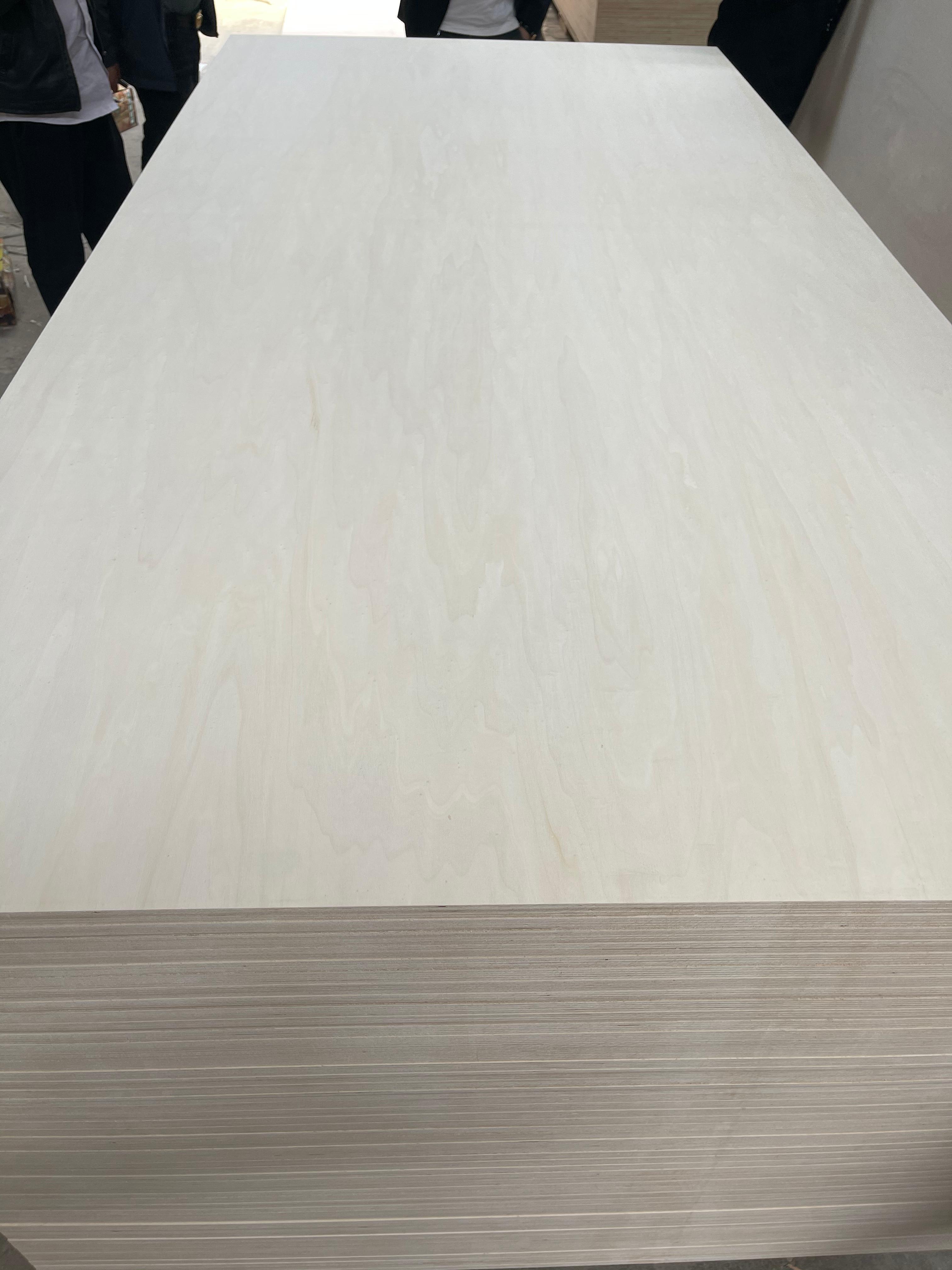 Bleach Poplar Plywood SHAN DONG ZHENG FENG WOOD INDUSTRY Co., Ltd
