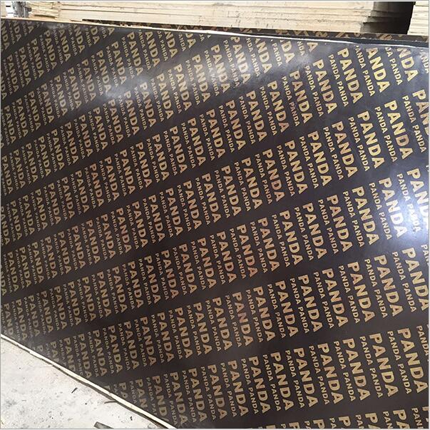 film faced  plywood  (53).jpg
