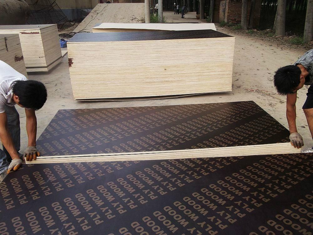 film faced  plywood  (13).jpg