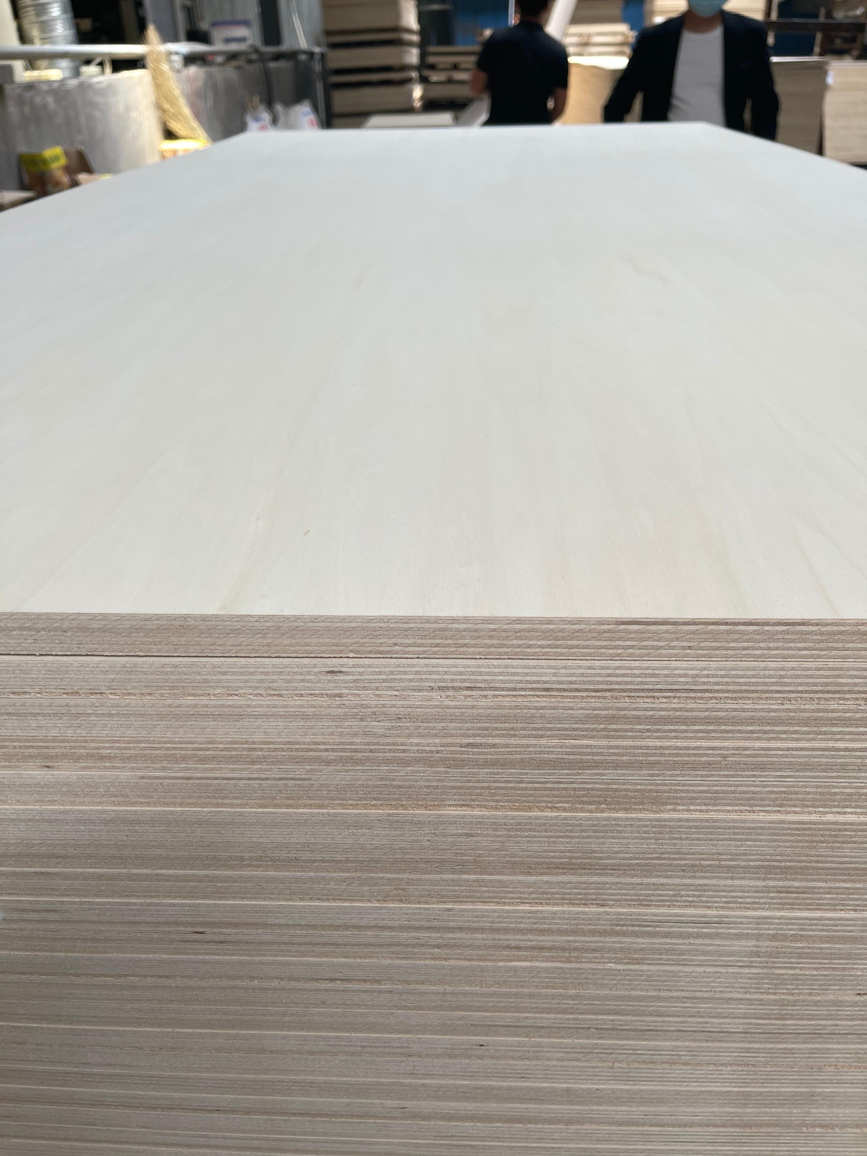 Bleach Poplar Plywood SHAN DONG ZHENG FENG WOOD INDUSTRY Co., Ltd